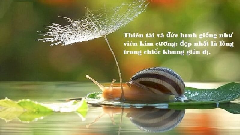 Giữ gìn sự giản dị bạn cần làm gì?