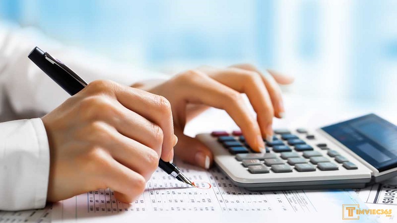 Cơ hội việc làm kế toán thuế trên viecday365.com