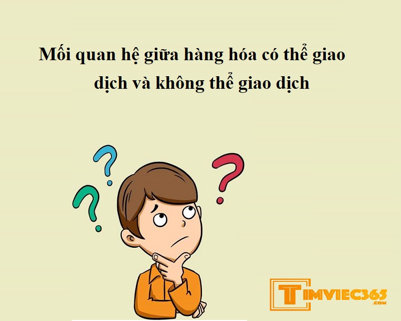 Mối quan hệ giữa hàng hóa có thể giao dịch và không thể giao dịch