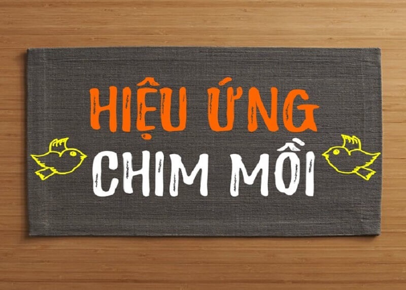 Hiệu ứng chim mồi là gì