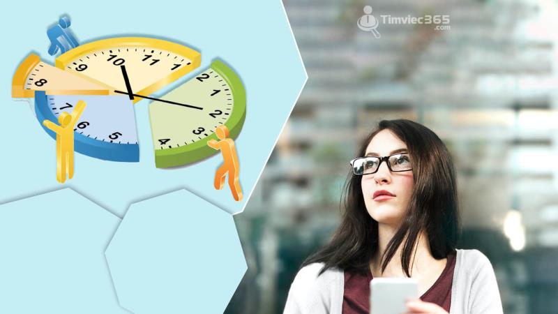 Phần kỹ năng, chứng chỉ, và bằng cấp