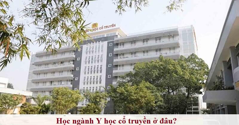 Học Y học cổ truyền tại cơ sở giáo dục nào