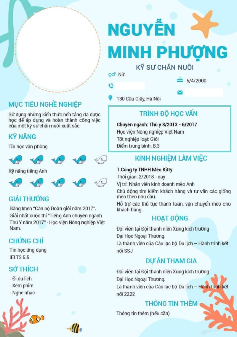 Trình bày trình độ học vấn trong CV tiếng Việt