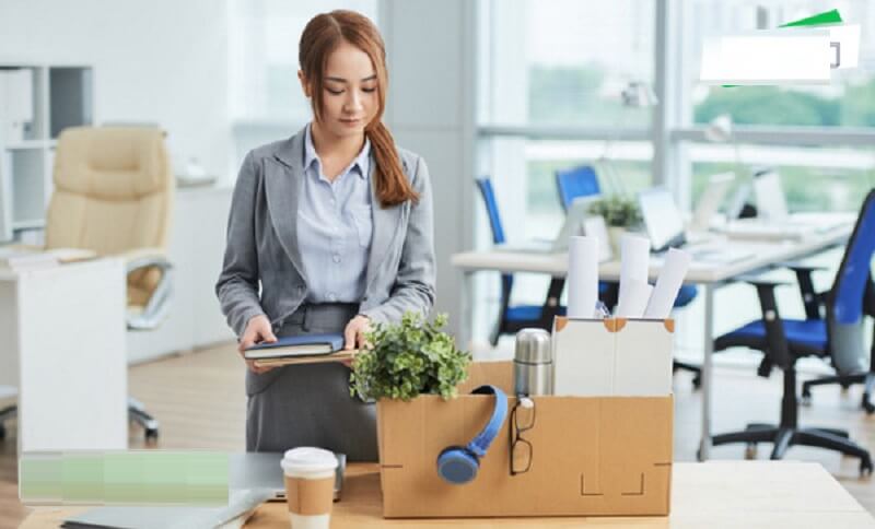 Chọn lọc thông tin liên quan tới lĩnh vực thiết kế nội thất trong đơn xin việc nội thất
