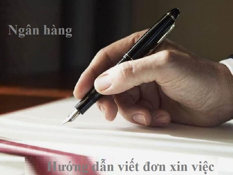 Hướng dẫn trình bày nội dung chi tiết của đơn xin việc ngân hàng