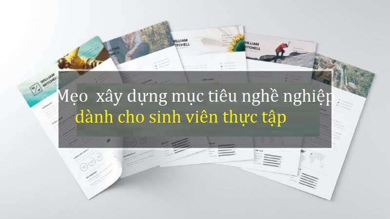 Cách viết mục tiêu nghề nghiệp cho sinh viên thực tập ghi điểm tuyệt đối