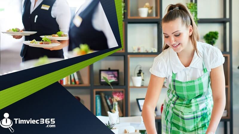 Đơn ứng tuyển Starbucks là gì