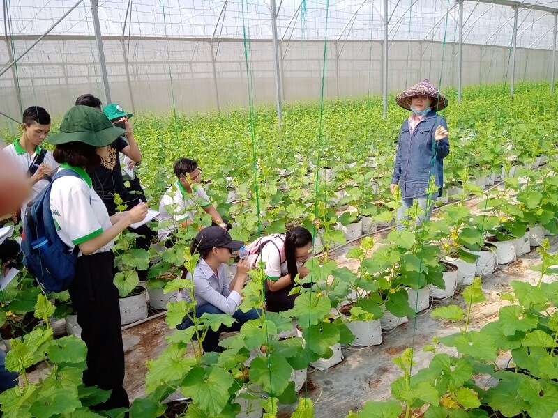 Khái quát về ngành Nông học ra làm gì?