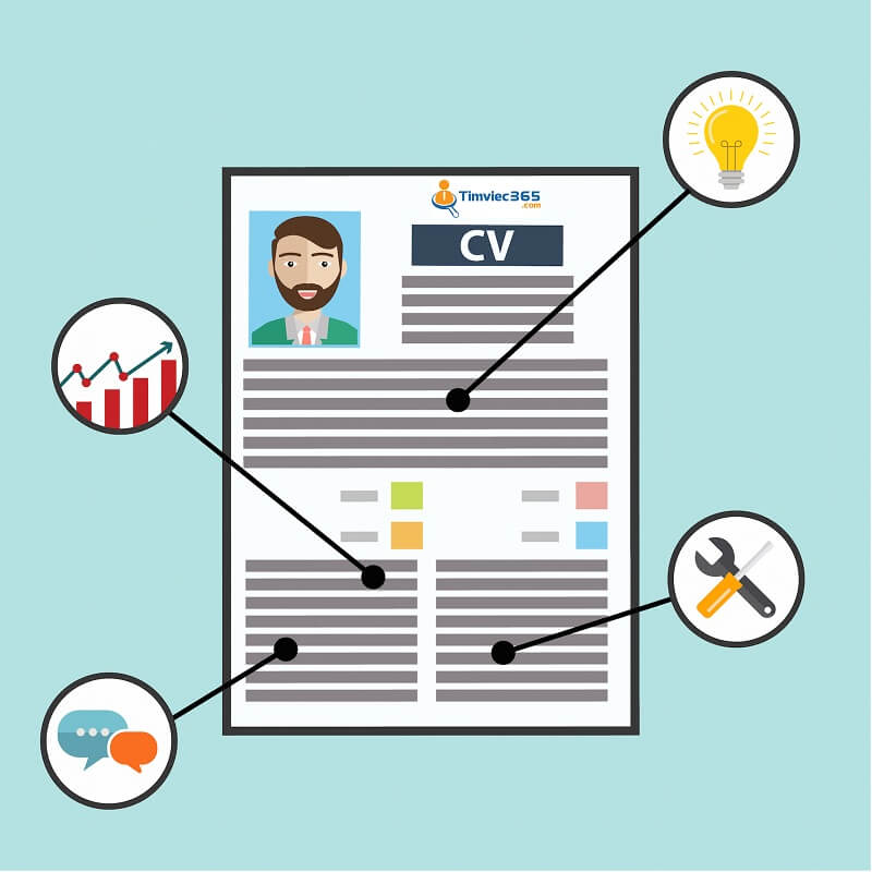 Bố cục của CV Junior