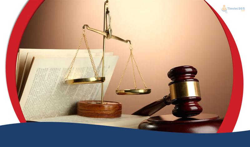  Nắm chắc các kiến thức về pháp luật