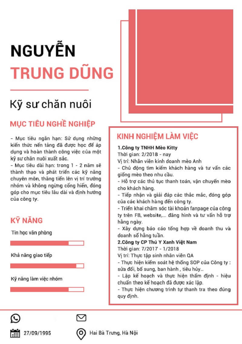 Hướng dẫn viết phần kinh nghiệm làm việc trong CV xin việc ngành thú y