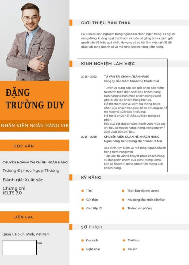 Phần kinh nghiệm làm việc của ứng viên trong mẫu CV ngân hàng VIB