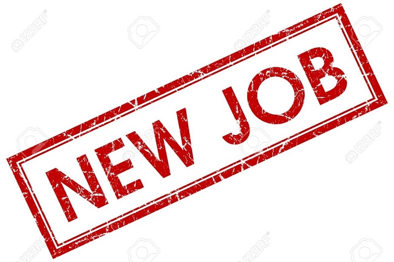 Cơ hội tìm việc làm sau này