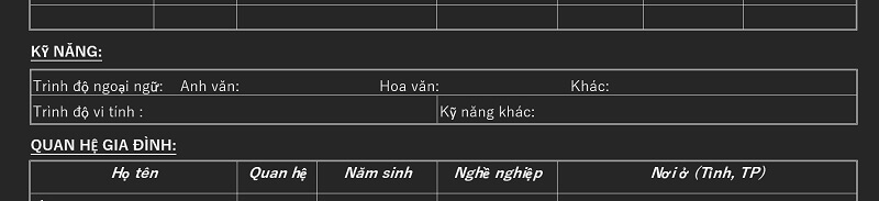 Phần Kỹ năng trong CV Sacombank