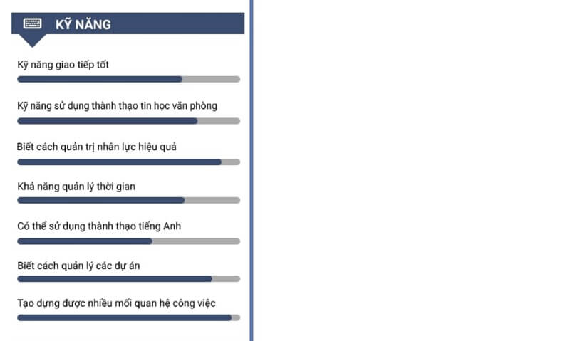 Phần Kỹ Năng trong bản CV xin việc Hoạch định dự án