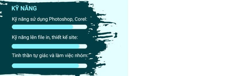 Mục kỹ năng trong bản CV xin việc thiết kế mỹ thuật
