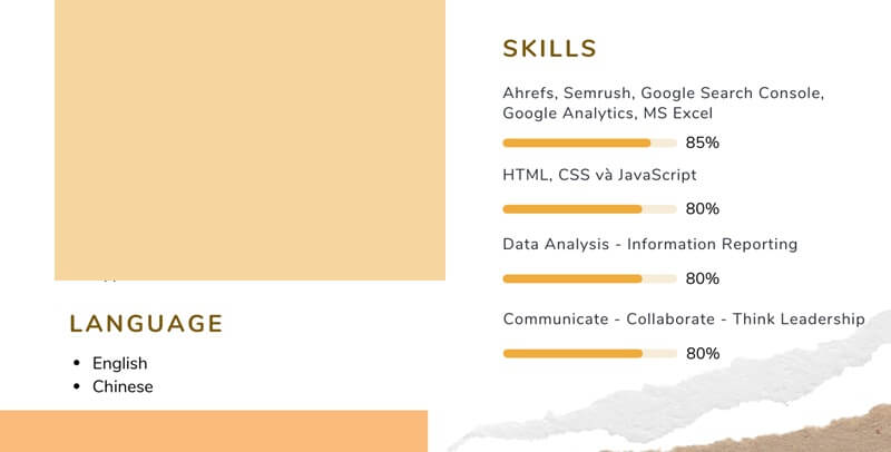 Phần kỹ năng trong bản CV xin việc SEO website