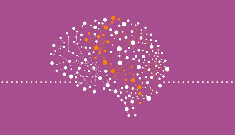 Cung cấp dinh dưỡng cho não bộ của bạn