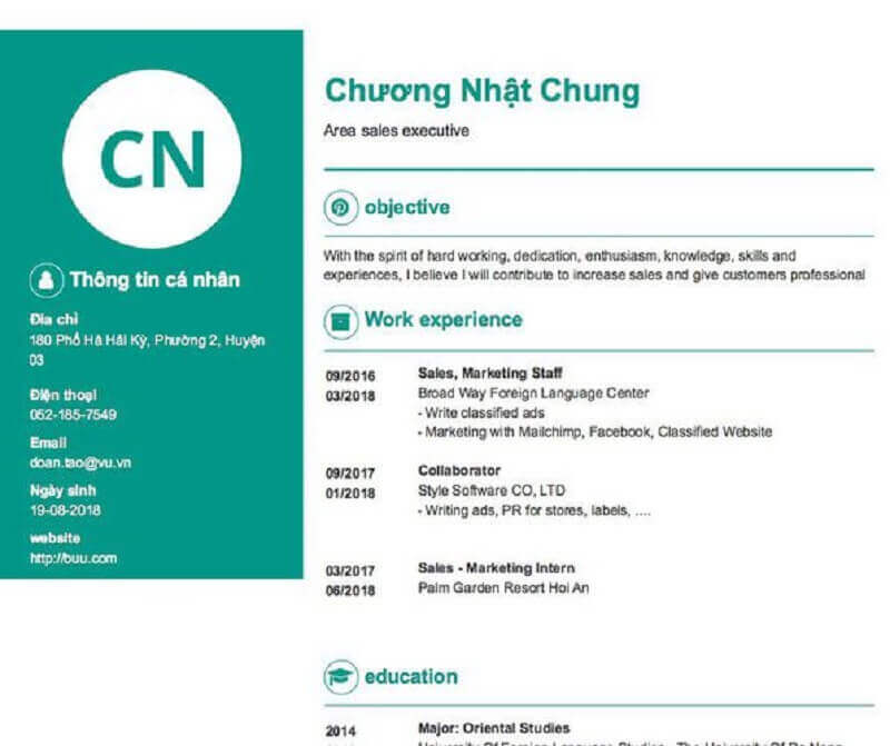 Mẫu viết CV sale executive