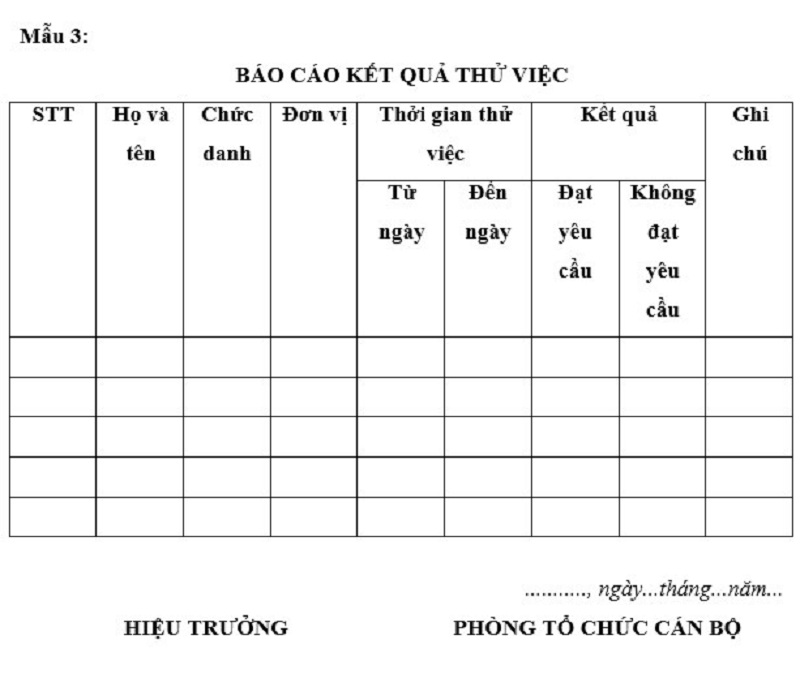 Cách trình bày hình thức của mẫu Báo cáo thử việc