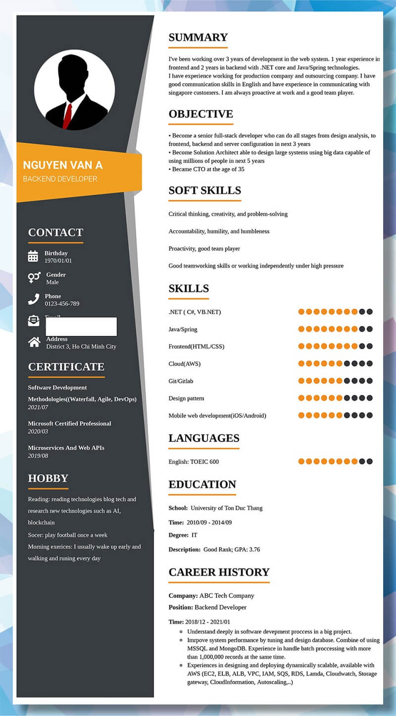 Mẫu CV Developer bằng tiếng anh