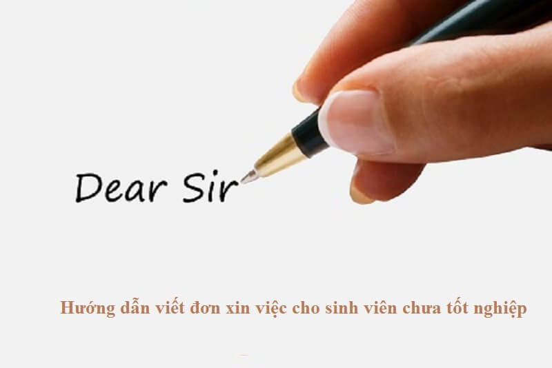 Tải mẫu đơn xin việc cho sinh viên chưa tốt nghiệp