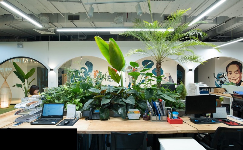 Vai trò và tác dụng của giấy ủy quyền công ty cho cá nhân