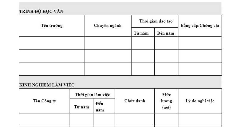 Phần trình độ học vấn trong mẫu hồ sơ ứng tuyển Vinfast
