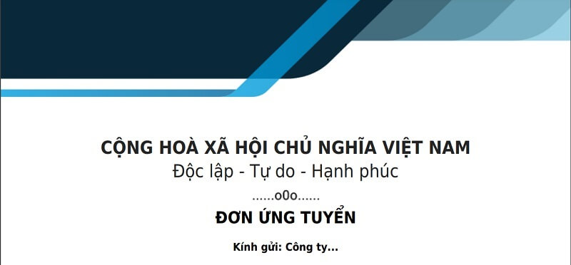 Phần mở đầu của mẫu đơn xin việc lái xe