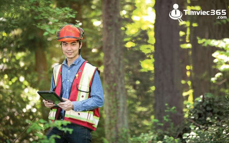 Công việc cụ thể chi tiết kỹ thuật 