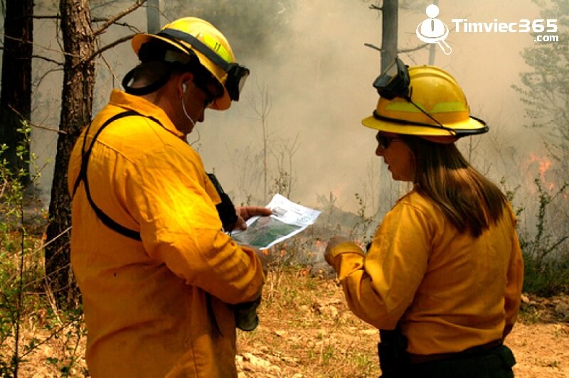 Cơ hội việc làm đối với kỹ sư lâm nghiệp hiện nay