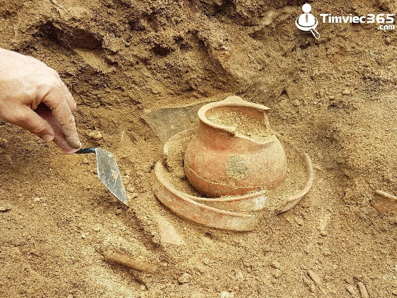 Nhiệm vụ công việc nhà khảo cổ cần đảm nhận 