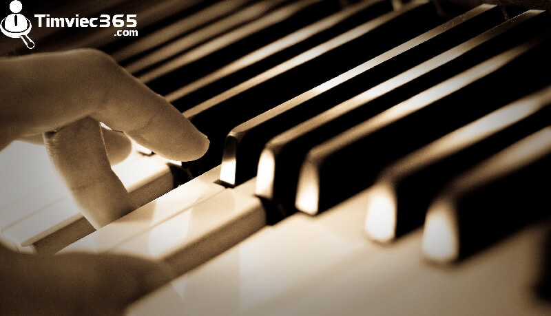 Các quyền lợi khác 