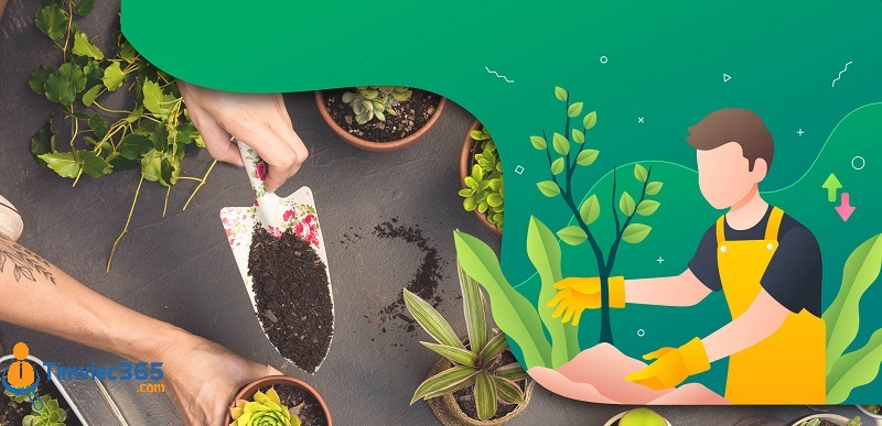 Những yếu tố giúp bạn biết được mình có phải là người phù hợp?