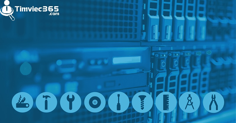 System Administrator là nấc thang cao nhất trong lộ trình sự nghiệp của ngành công nghê thông tin