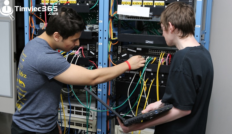 Nghiên cứu các chương trình và đề xuất các phương án về cách làm việc với hệ thống mạng