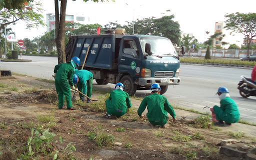 Việc làm dự án môi trường tuyển dụng