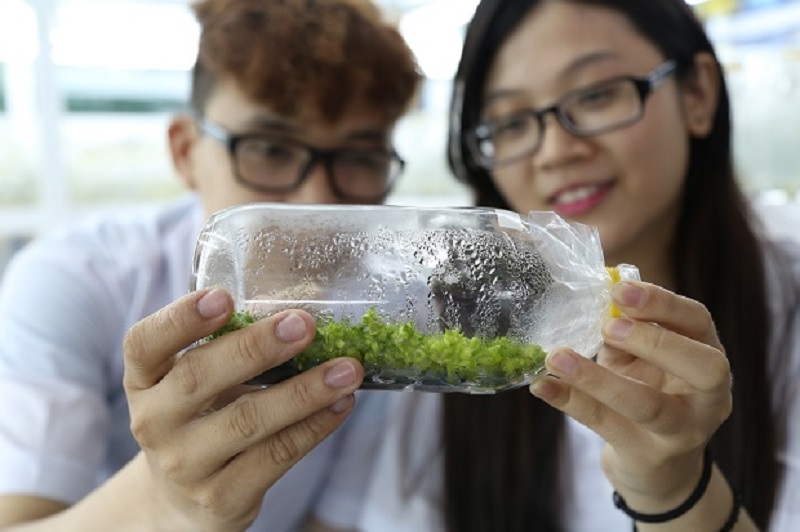 Một số công việc “hot” trong ngành môi trường hiện nay