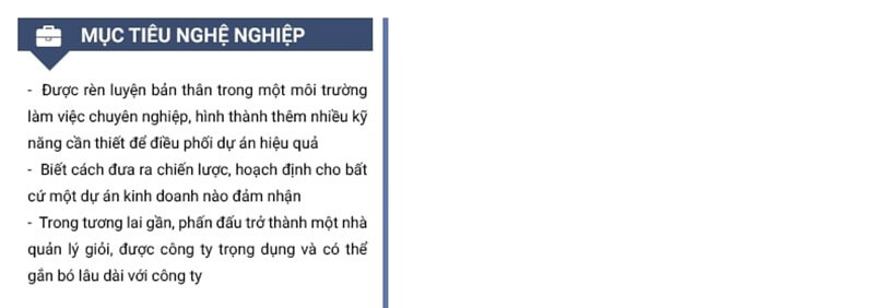 Phần mục tiêu nghề nghiệp trong mẫu CV xin việc Hoạch định dự án