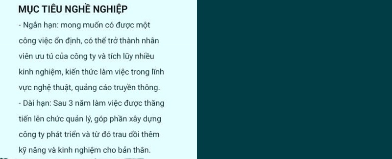 Phần mục tiêu nghề nghiệp trong mẫu CV thiết kế mỹ thuật