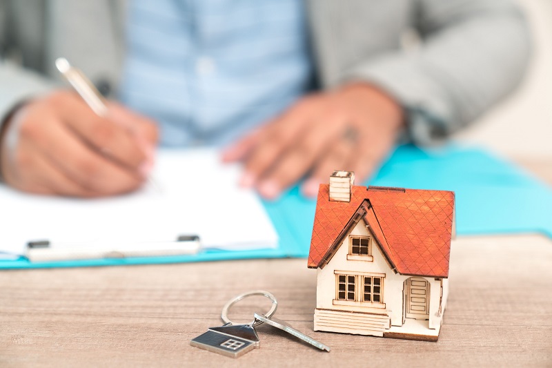 Các vị trí việc làm hấp dẫn