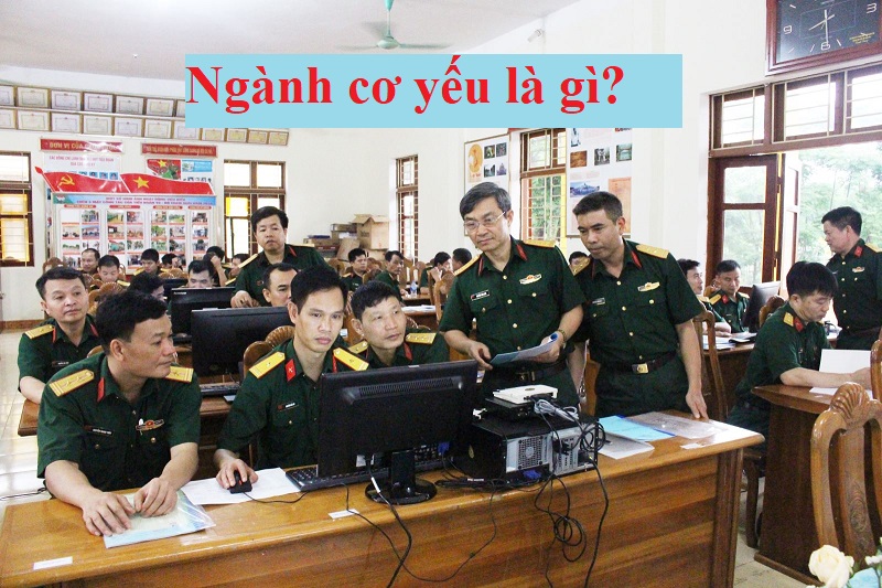 Ngành cơ yếu là gì