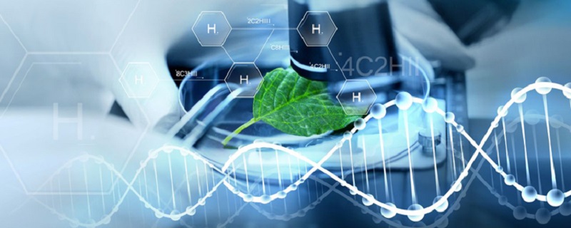 Khái niệm ngành CNSH là gì?