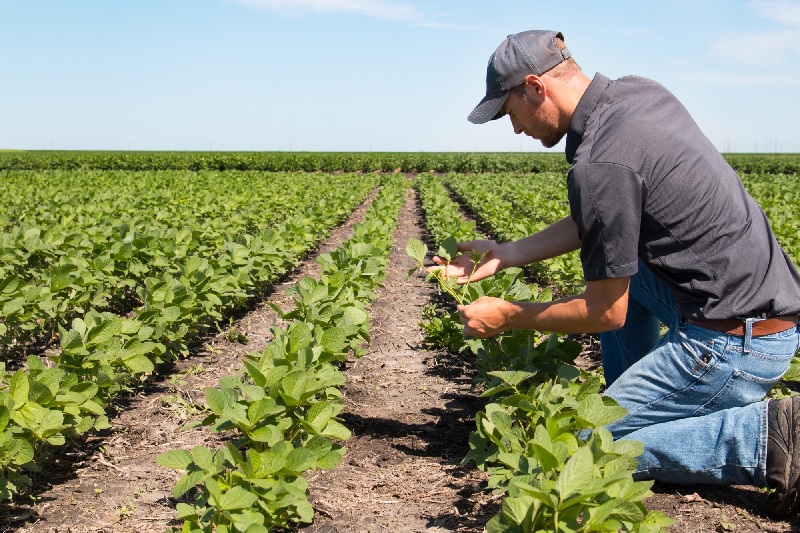  Điều cần biết trong tuyển sinh ngành Khoa học cây trồng 