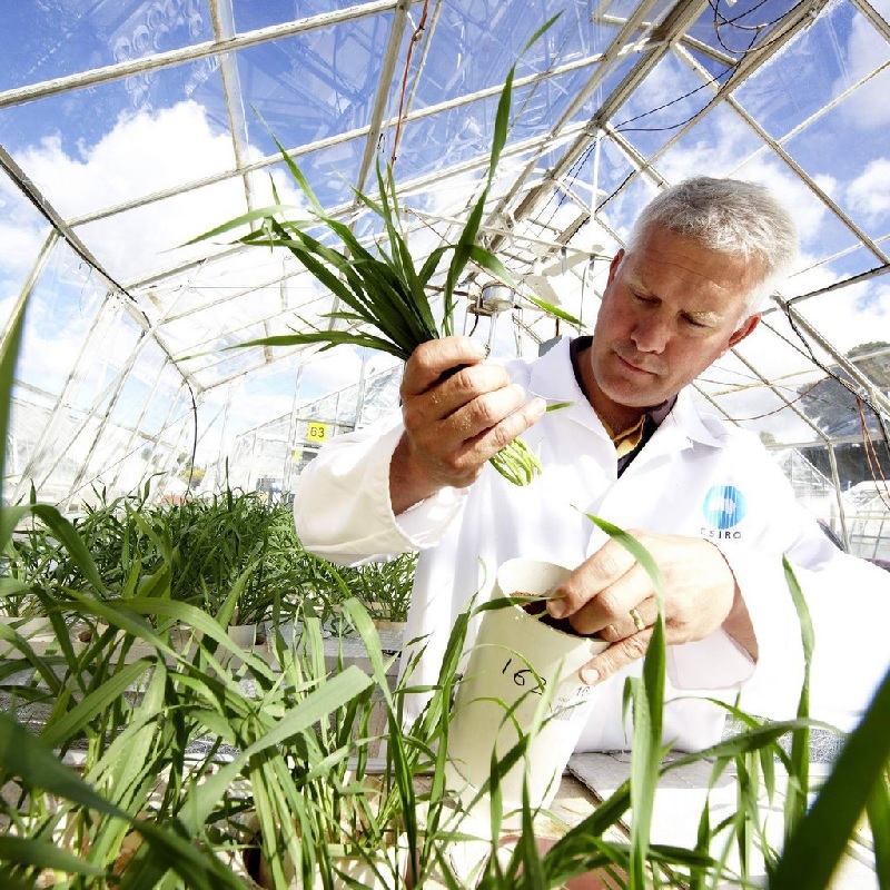 Những ngôi trường đào tạo ngành Khoa học cây trồng 