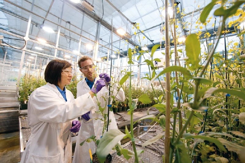 Ngành Khoa học cây trồng có dễ kiếm việc như lời đồn? 