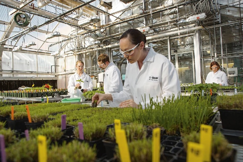 Kiến thức về ngành Khoa học cây trồng 