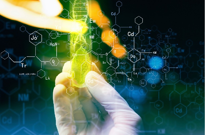 Nơi làm việc rộng mở cho ngành khoa học cây trồng 