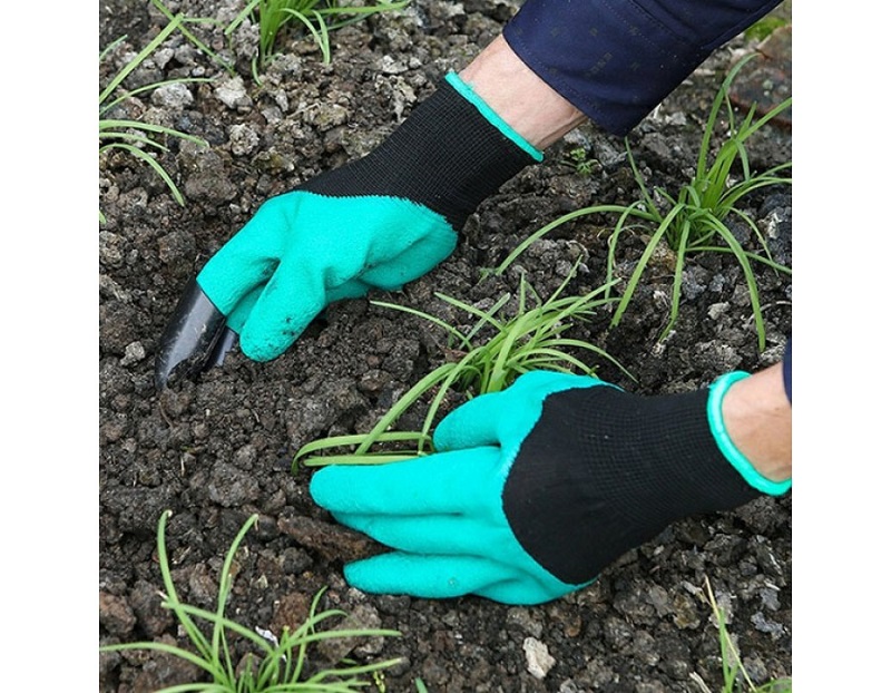 ví dụ về ngành sản xuất trồng trọt