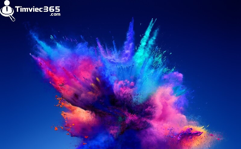 Khối D cũng là một sự lựa chọn hoàn hảo